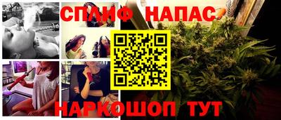 соль ск Будённовск