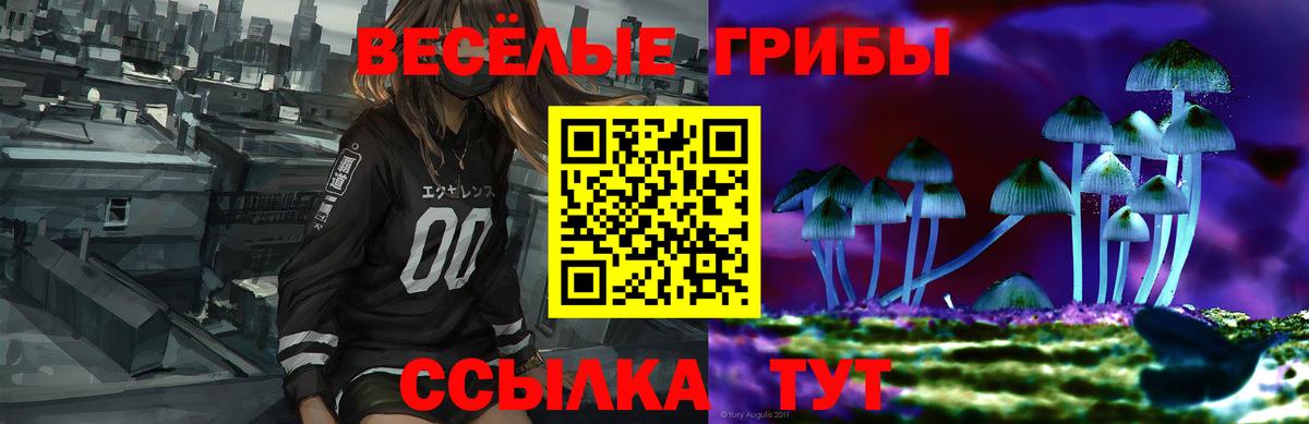 Серов  Псилоцибиновые грибы мухоморы  Вход с VPN 